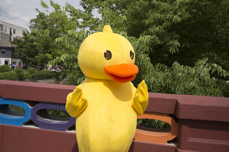 The Duck Mascot