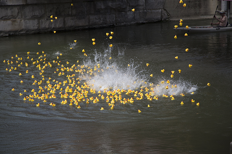 Random Rippling - 2022 Duck Race