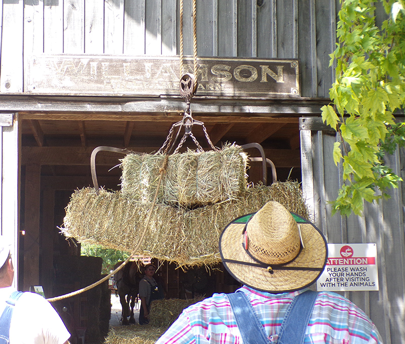 Moving hay to the loft