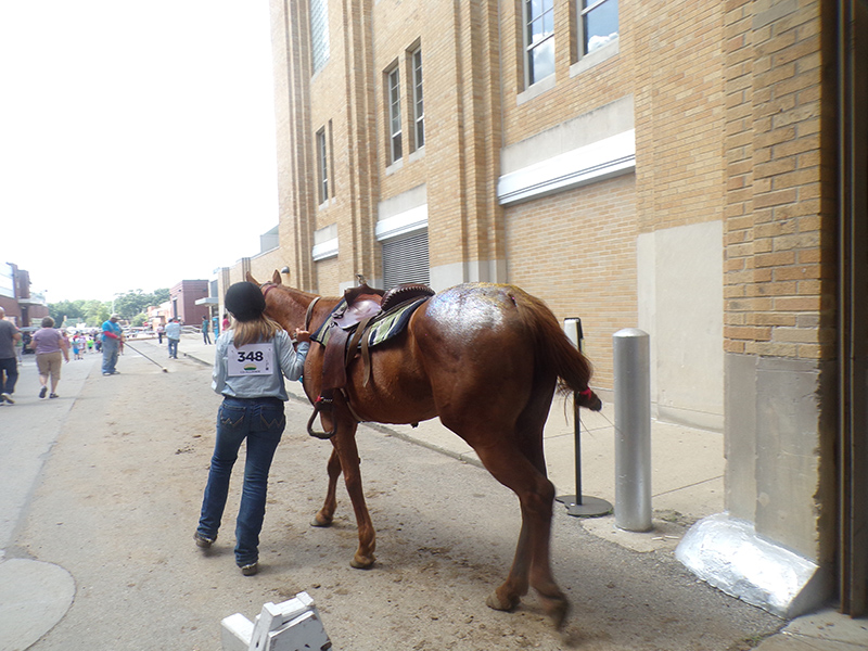 2022 Indiana State Fair photos - week one