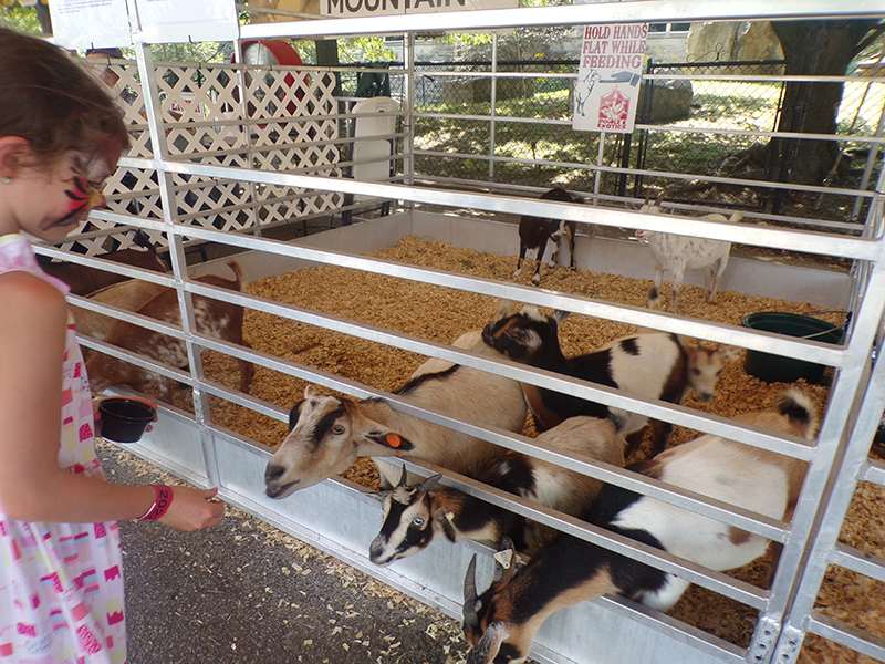 2022 Indiana State Fair photos - week two