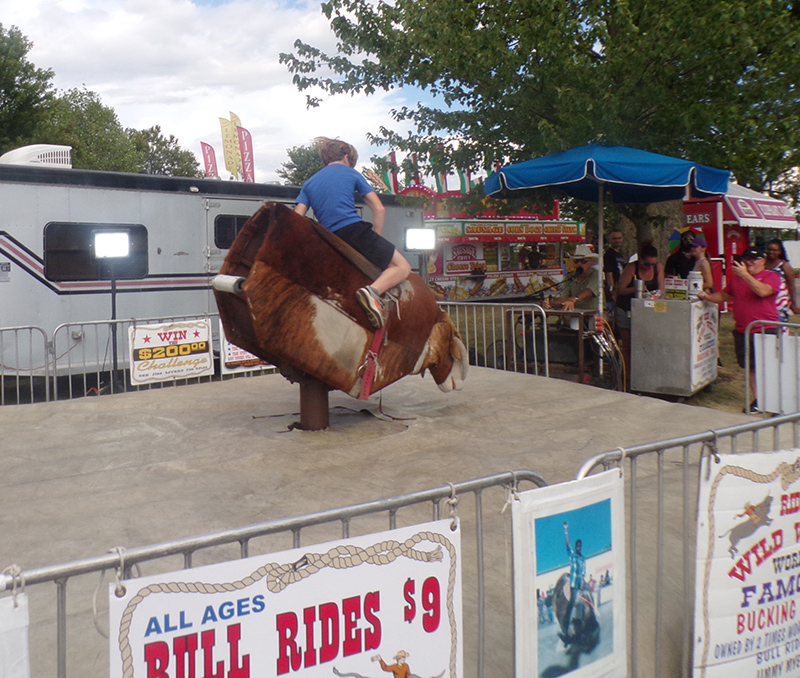 Bull rides