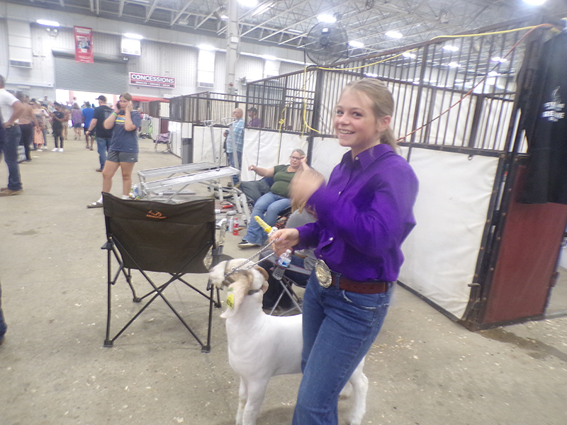 2022 Indiana State Fair photos - week two