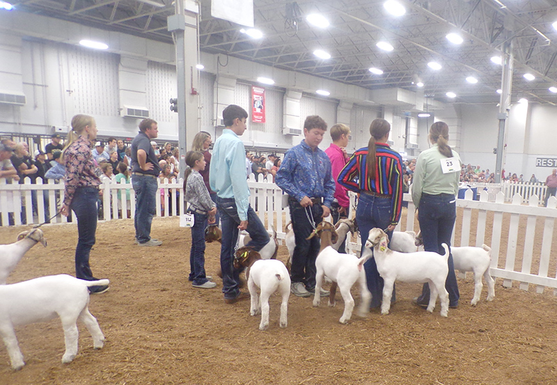 2022 Indiana State Fair photos - week two