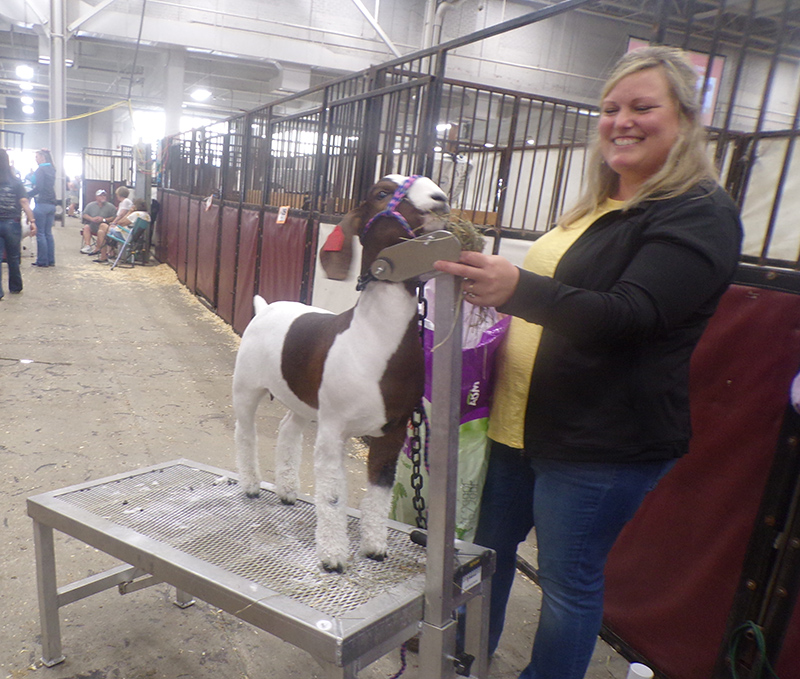 2022 Indiana State Fair photos - week two