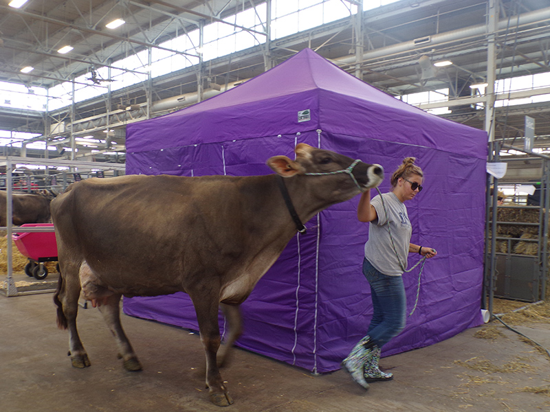 2022 Indiana State Fair photos - week two