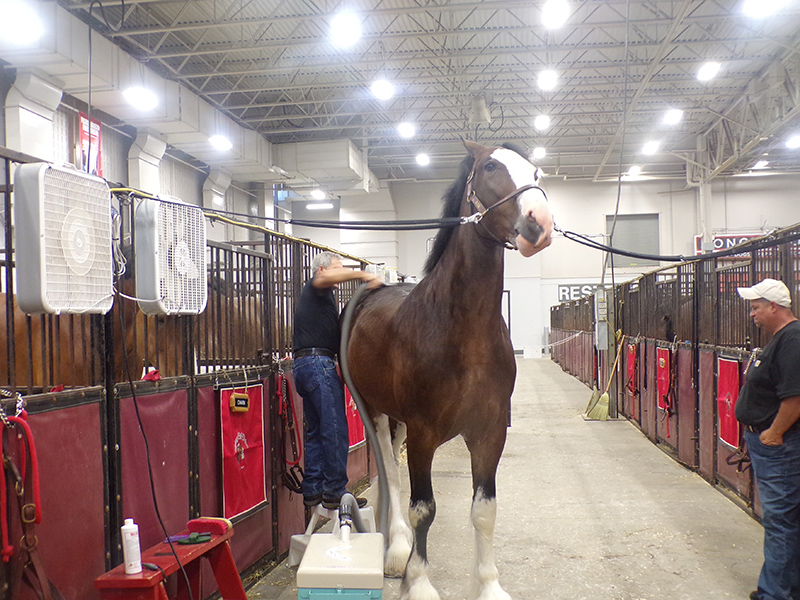 2022 Indiana State Fair photos - week two