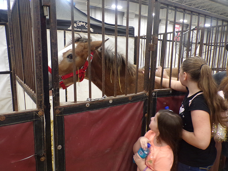 2022 Indiana State Fair photos - week two