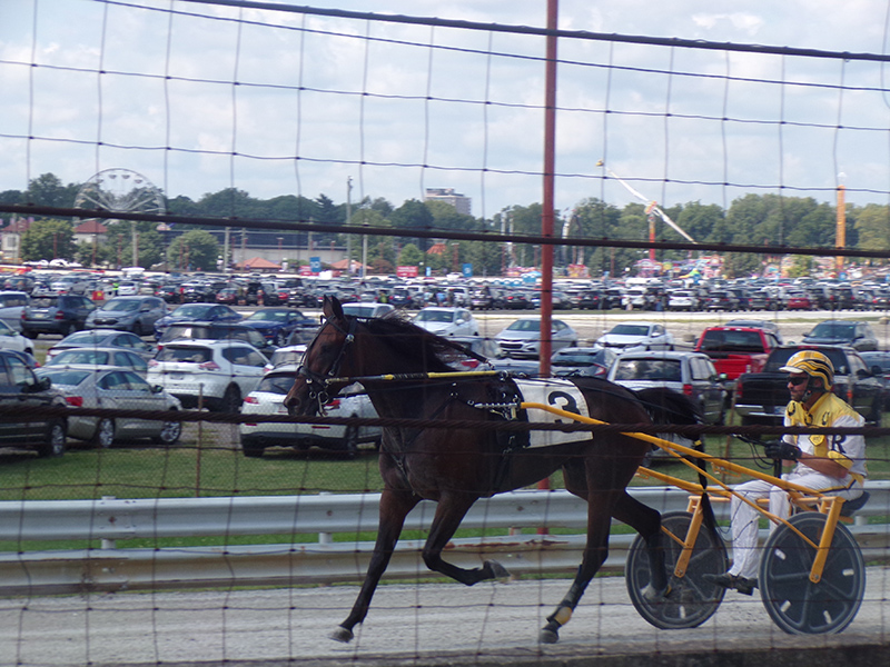 Harness racing