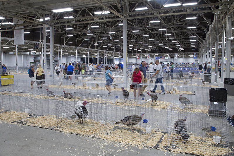 Inside Expo Hall