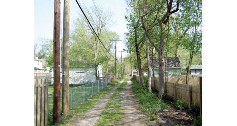 Right in my Own Backyard - In Homage to Alleys - by Brandt Carter 