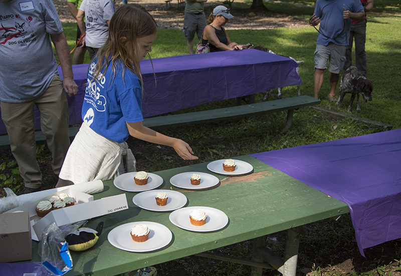 Setting up the pie-eating contest