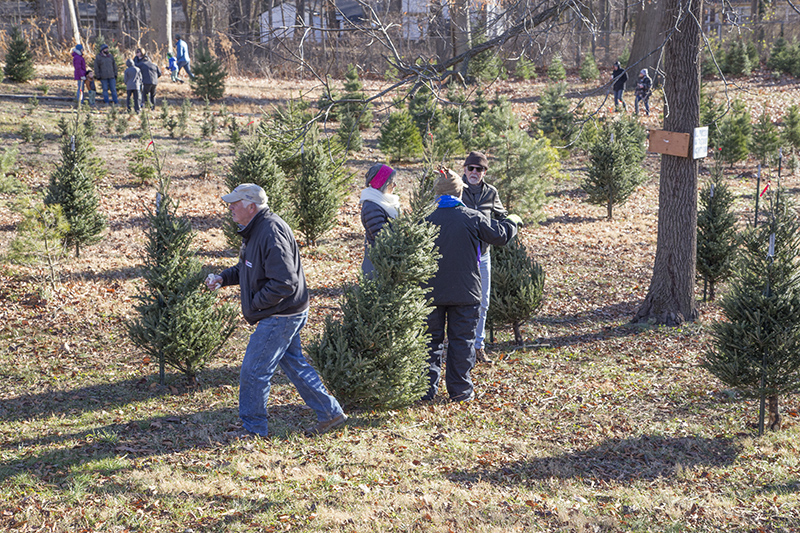 Random Rippling - Santa at ISBVI