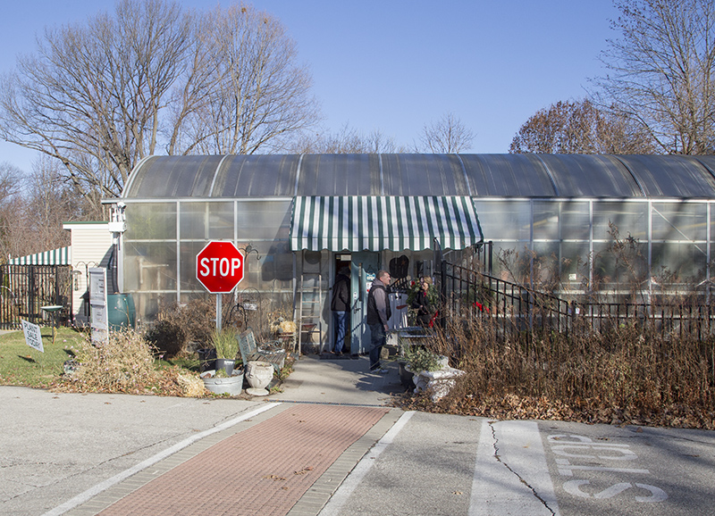 The ISBVI Greenhouse