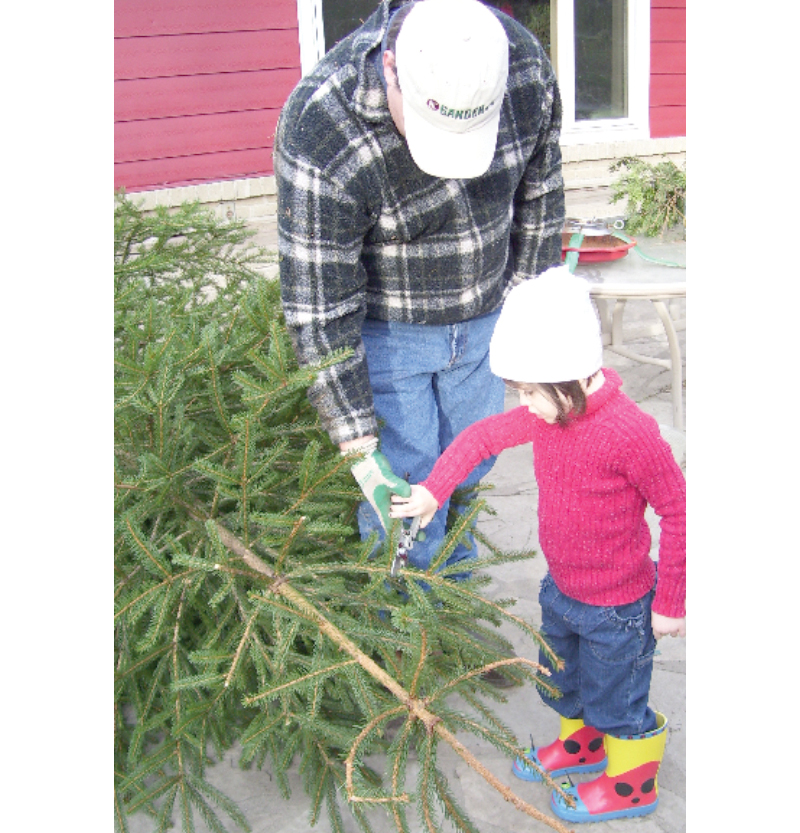 Elizabeth and Nick, our 1st Christmas Tree Harvest