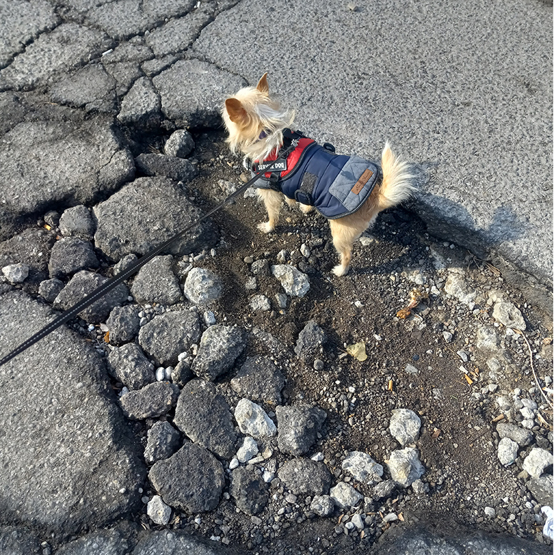 Frog's Random Rippling - Pothole