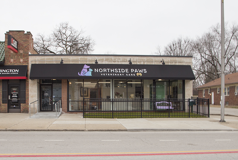 Random Rippling - Northside Paws Opens
