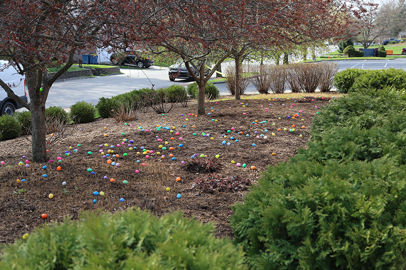 Random Rippling - Easter Eggs at Northminster