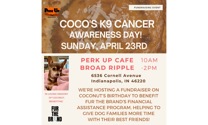Coco's K9 Cancer Awareness Day at Perk Up Cafe