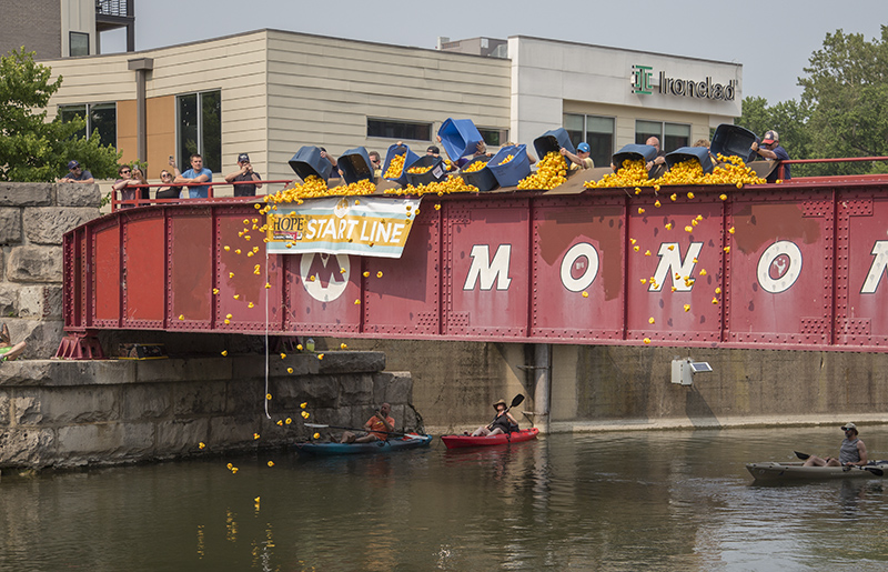 And the ducks are poured in to the canal