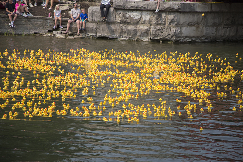 Random Rippling - 2023 Duck Race