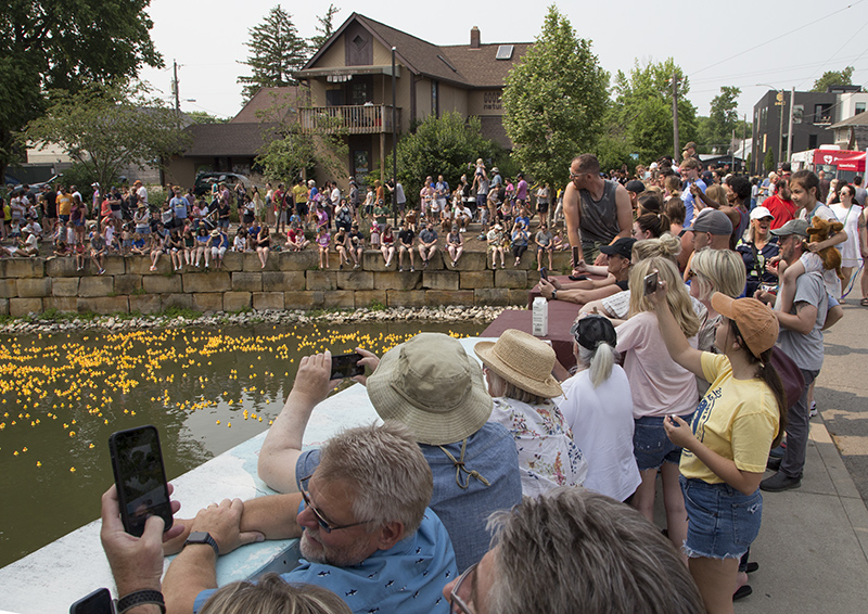 Ducks emerging from Rainbow Bridge