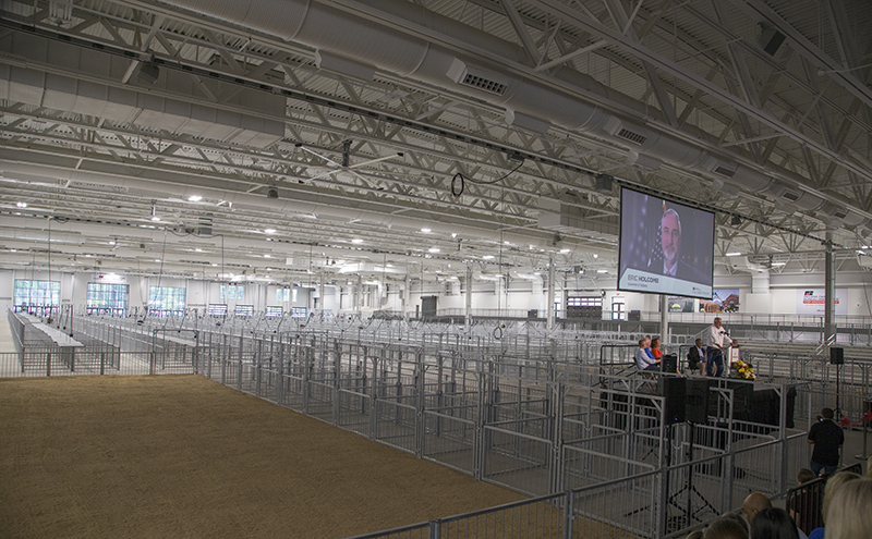 The lights are on, showing the finished space