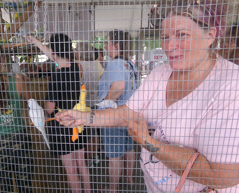 Frog's Random Rippling - 2023 Indiana State Fair