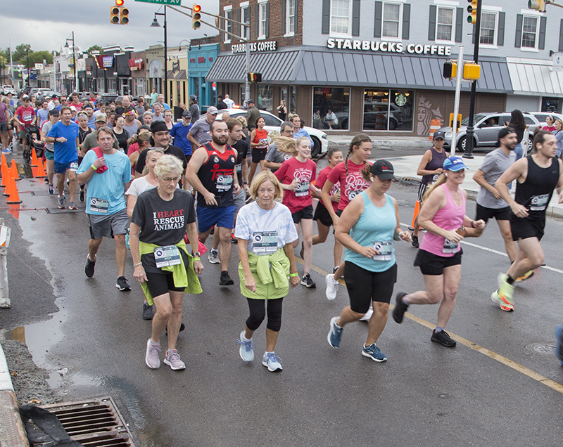 Random Rippling - BRVA Ripple Effect 5K