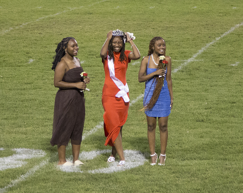 The Homecoming Princess