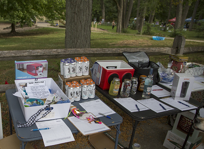 Items in the Silent Auction