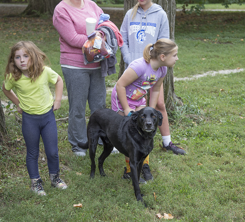 Random Rippling - ARPO Dog Olympics at BR Park