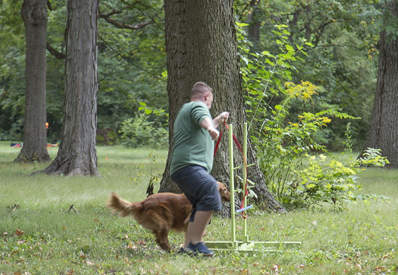 On the obstacle course