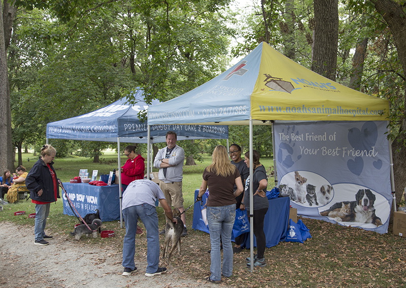 Random Rippling - ARPO Dog Olympics at BR Park