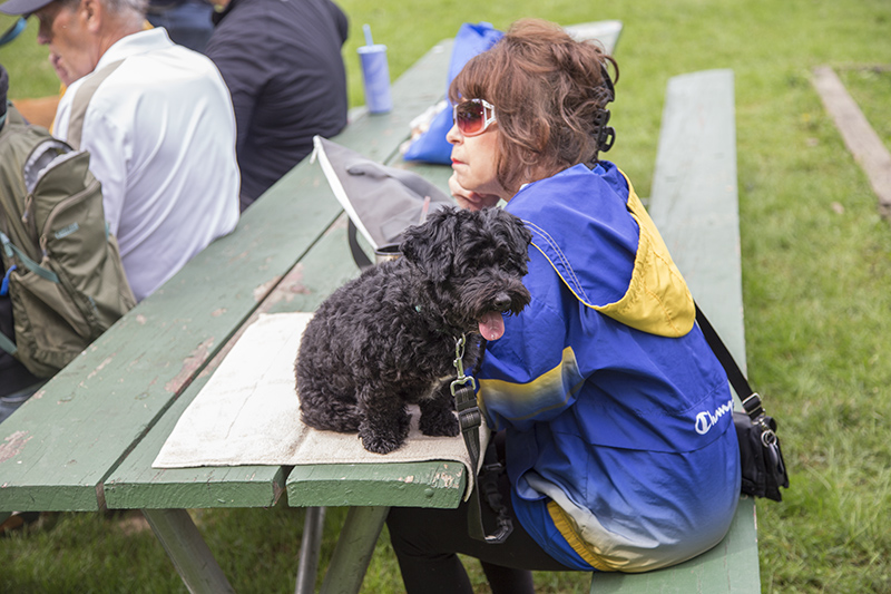 Random Rippling - ARPO Dog Olympics at BR Park