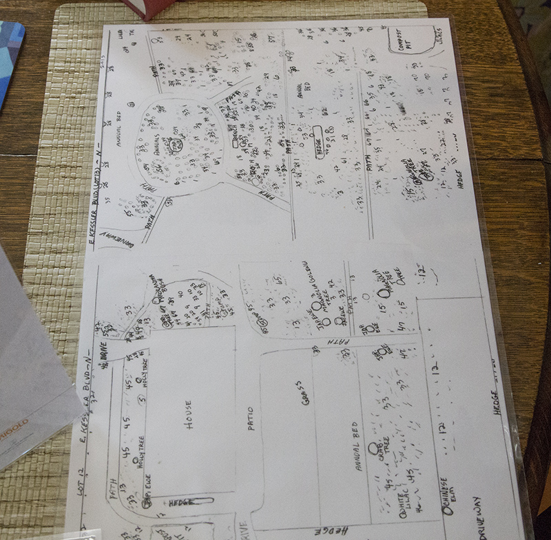 Helen drew the new owners a detailed schematic, from memory, of all of the garden plantings.