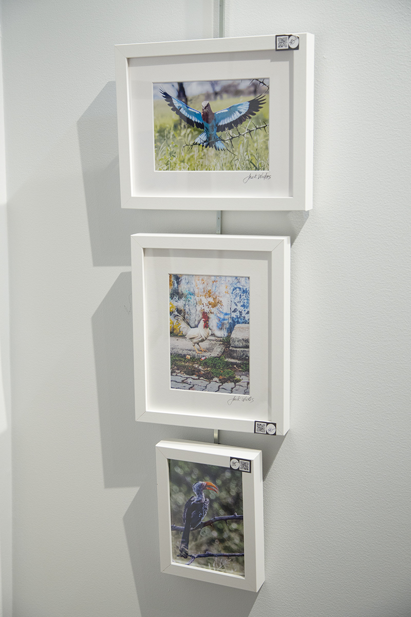 Gallery 6202, 6202 N. College Avenue - Jack Wickes photography
