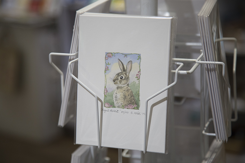 Artifacts, 6327 Guilford Avenue - Carrie Wild paintings and prints