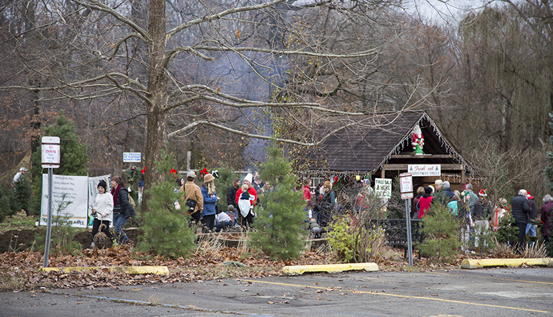 The final year to pick out a fresh Christmas tree on the school grounds