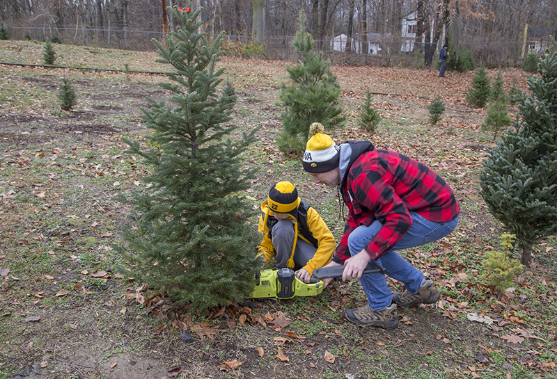 Cutting your editor's tree!