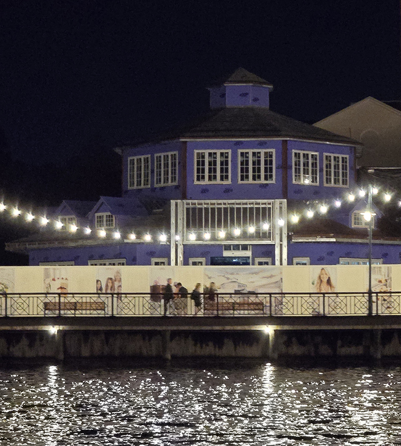 Random Rippling - WDW Cake Bake Shop Construction