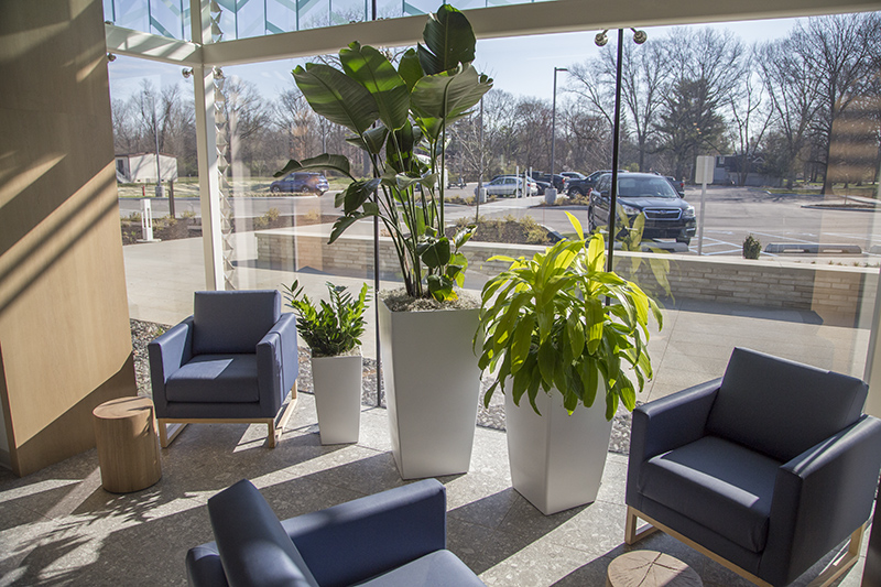 The new library has many bright reading nooks with lots of plants