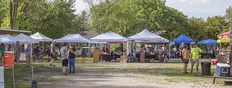 Random Rippling - SoBro Summer Farmers Market opens