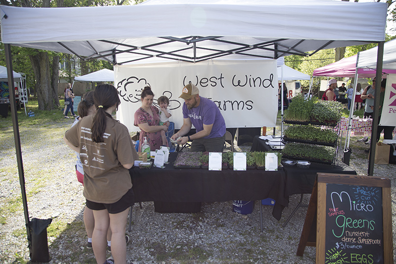 Random Rippling - SoBro Summer Farmers Market opens