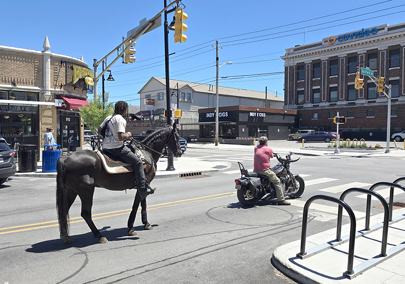 Random Rippling - Horseback