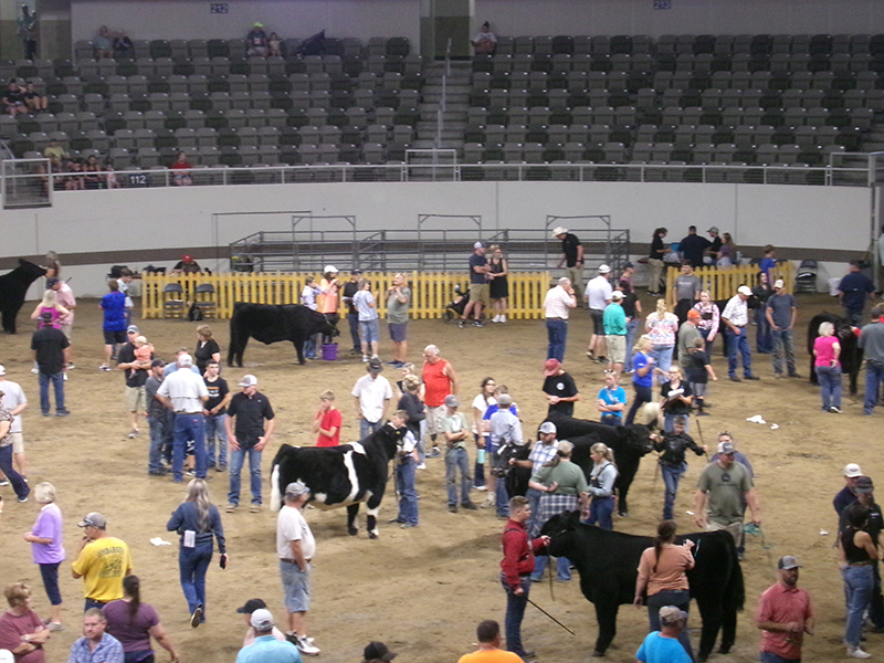 Random Rippling - 2024 Indiana State Fair - part one