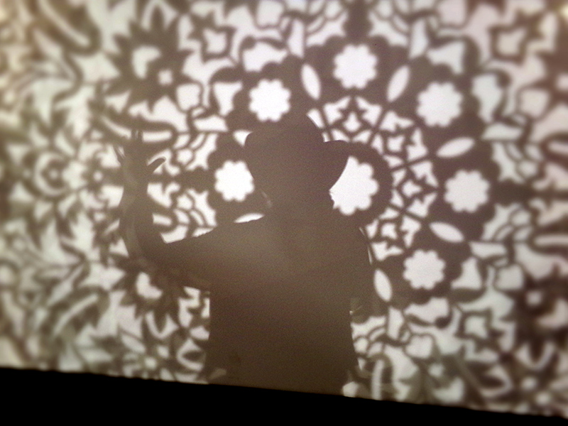 A shadow of a Frog in the Harvest Pavilion