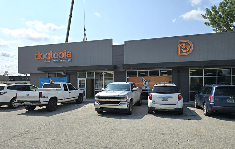 Random Rippling - Dogtopia signs up