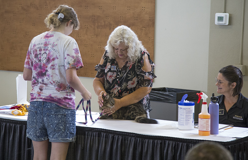 Random Rippling - 2024 Indiana State Fair - part one