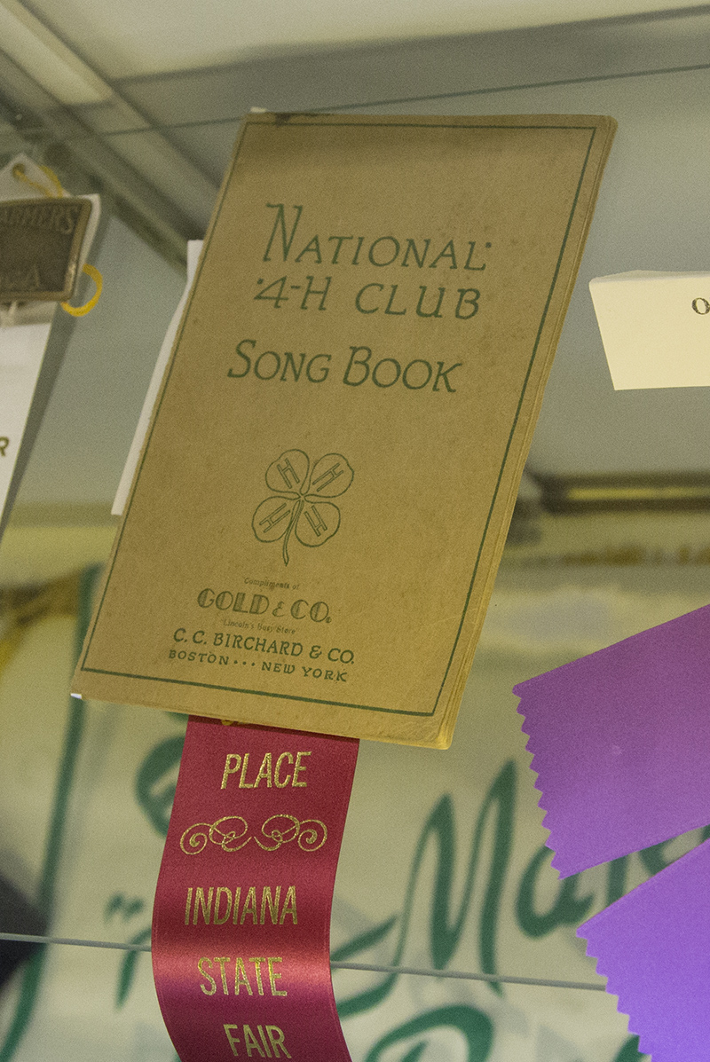 Nora's 4H booklet ribbon